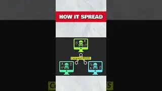 3 Unbelievable Tech Facts