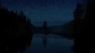 🎵~ Пение цикад в ночном лесу |  Cicadas singing in the night forest for relax, sleep, meditation