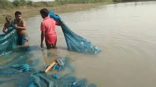 Revealing the Secret to Catching Fish in Under 5 Minutes!