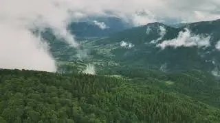 1700 на мотіку