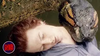 BLOODIEST ATTACKS Compilation |  Anaconda (1997) | Now Scaring