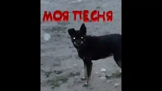 Моя песня