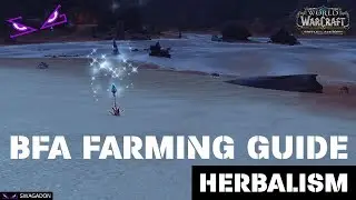 Herbalism Farming Guide (WoW BfA Beta)