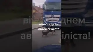 Поздравление с днем автомобилиста