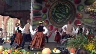 Осенний праздник в Риге