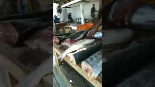 Nagercoil   fish market 🦐🦀 yaruku ellam itha fish pidikum yaru ellam itha fish market poirukenga