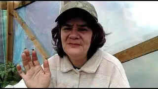 5 секунд полёт нормальный, ч п / Жизнь в селе.