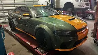 FINALLY COMPLETED REBUILDING MY SCAT PACK 💚🧡