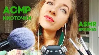 АСМР - Кисточки по Микрофону/ASMR Brushing the Microphone With Different Brushes