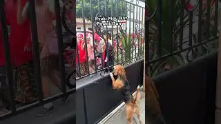 ANABUL IKUT PAWAI 17an‼️🇮🇩 Ryuki seneng bgt naik sepeda😍 