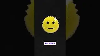 The Rise of Scrub Daddy