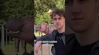 МОСКВА ГОРОД ВАУ #юмор #обзор #vlog #влог