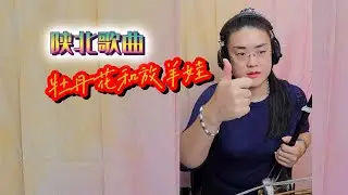 陝北歌曲《牡丹花和放羊娃》演唱：柳强强、王小妮, 二胡：胡琴黃曉晴Eva_香港