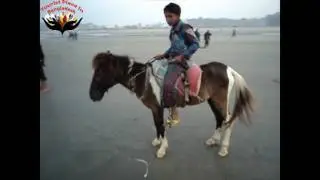 Cox's Bazar Labony point part  1