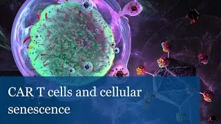 CAR T cells and cellular senescence (Scott W. Lowe)