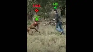 Спас друга 😎