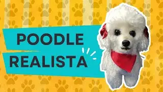 POODLE REALISTA AMIGURUMI  (TOSA)