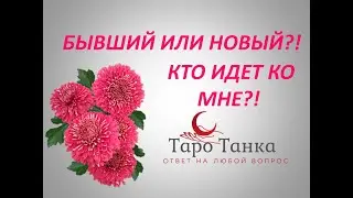 БЫВШИЙ ИЛИ НОВЫЙ? КТО ИДЕТ КО МНЕ?  ДВА ВАРИАНТА. СМОТРИТЕ ОБА...