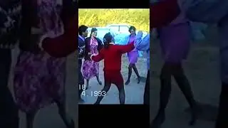 💝Козак дівку питає #shorts_video #dance #shortsstudiovvs #wedding #weddingceremony #weddingdance