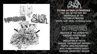 Sulsa / Cystoblastosis - split CS FULL ALBUM (2018 - Goregrind)
