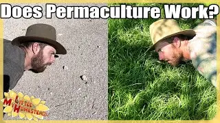 Does Permaculture Work? How We're Greening the Desert | Peek Ep407
