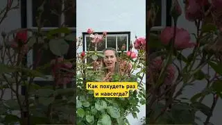Как похудеть раз и навсегда?