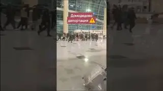 ДЕПОРТ ⚠️ Аэропорт Домодедово