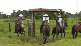El Arriero I Camilo Zapata I Se Perdio el Ternero Fino del Patron