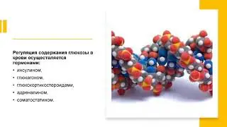 Лечебное голодание