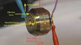 LDM 