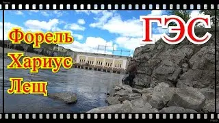 Рыбачим на Гидроэлектростанции. Форель/Хариус/Лещ