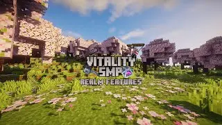 Vitality SMP Basic Realm Features   June 7 2026