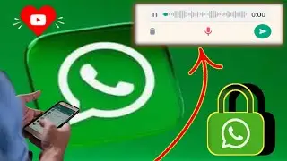 Whatsapp community | Whatsapp business account