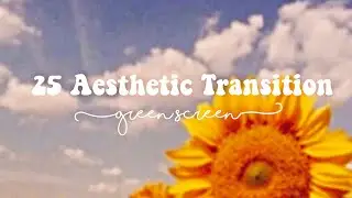 25 Aesthetic Transition Green Screen Overlays FREE USE