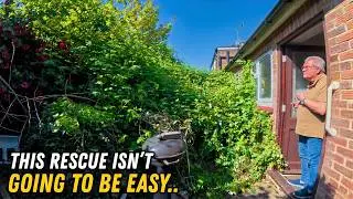 This Overgrown Garden Towered Over Us.. Let's Reclaim Graham's Space