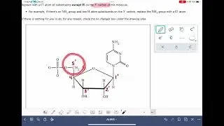 ALEKS: Numbering the carbons in nucleotides