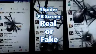 Spider on Screen Facebook Magic Trick - Real of Fake