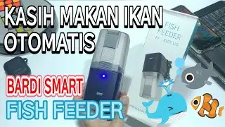 Kasih Makan Ikan Otomatis dengan Bardi Fish Feeder! | @BardiSmartHome
