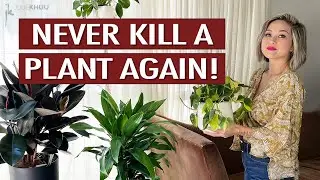Houseplant Hacks That Actually Work to Save My Plants | Julie Khuu