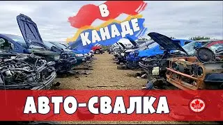 АВТО-СВАЛКА В ЭДМОНТОНЕ, КАНАДА (АНОНС)