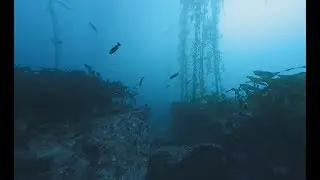 [360] Scuba dive at Butterfly House, Carmel (number 2, great viz)