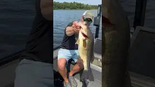 Big kicker bass… big fish on derby day are just awesome!!