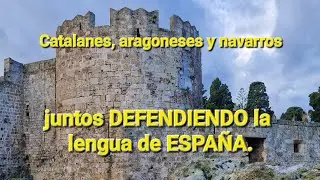 Catalanes, aragoneses y navarros en defensa de España.
