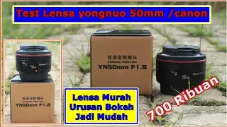 Yongnuo 50mm test foto lensa murah bokeh wah