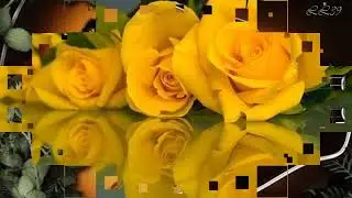 Instrumental Guitar-  Execution -  *****