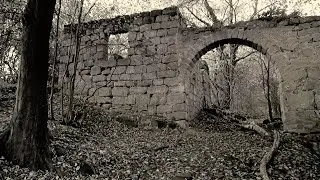 PÍČŮV STATEK - obrazem zkázy