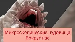 Микроскопические чудовища вокруг нас