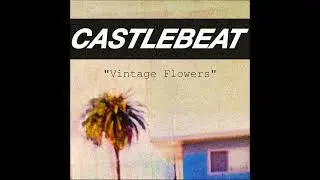 Castlebeat - Vintage Flowers (2015) dream pop | lo-fi | indie pop | shoegaze | bedroom pop