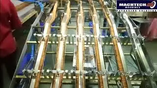 Automatic Biscuit Feeding System with Biscuit Packing machine