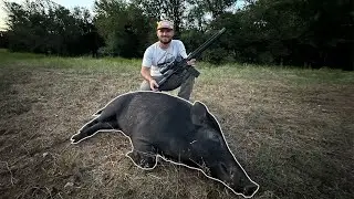 Stalking Pigs That Are Destroying Our ranch (Catch Clean Cook)